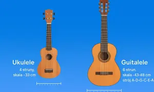 Ukulele ma 4 struny, a guitalele 6. Wybór strun zależy od instrumentu.