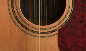 Zbliżenie na gitarę 12 strunową, widoczne struny i ozdobne rozety. Strojenie gitary 12 strunowej to precyzyjne zadanie.