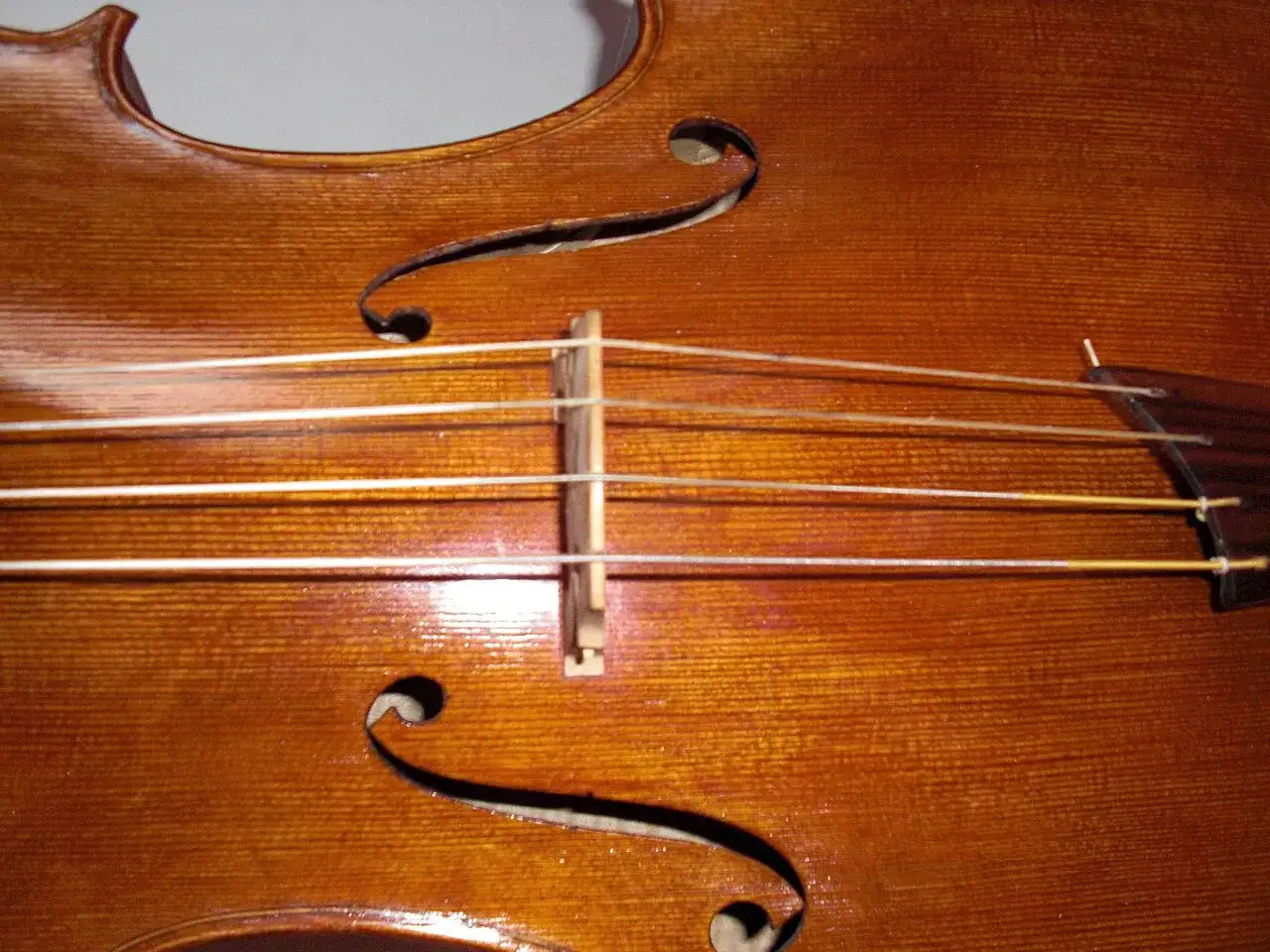 Zbliżenie na drewniany korpus wiolonczeli z widocznymi czterema strunami. To instrument, który ma cztery struny.